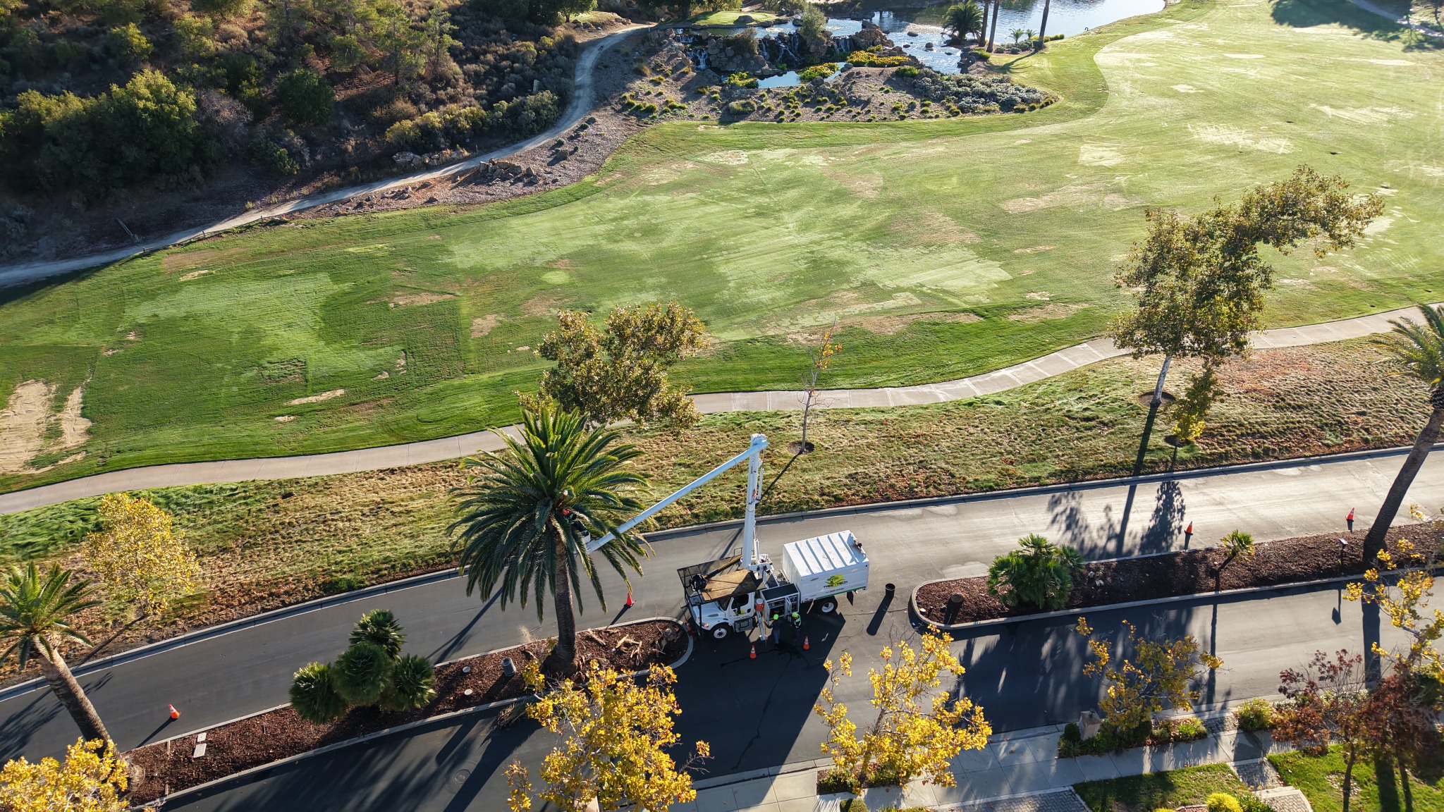 An overhead view of palm tree care beside landscaped grounds and access routes